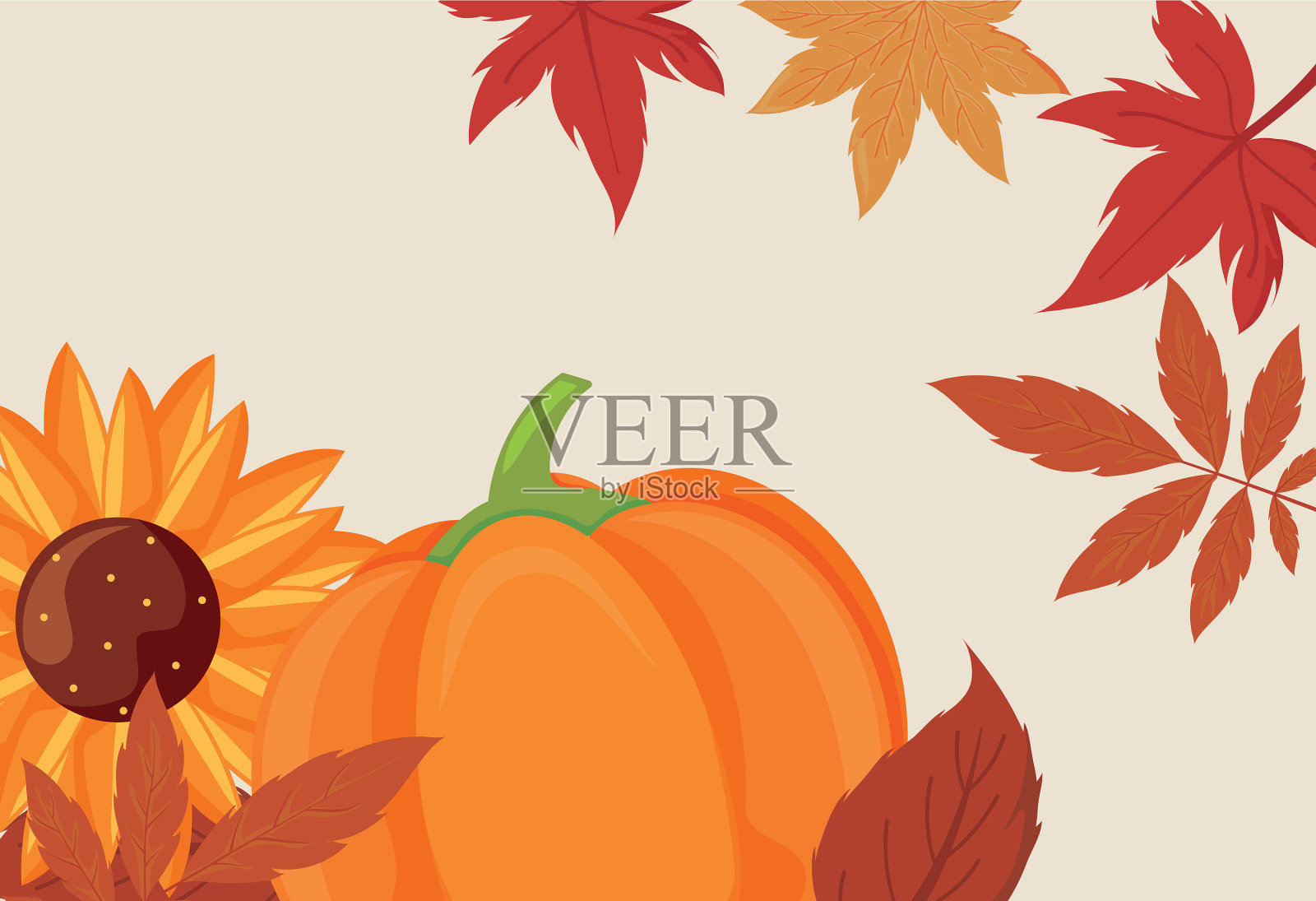 南瓜向日葵和感恩节叶插画图片素材