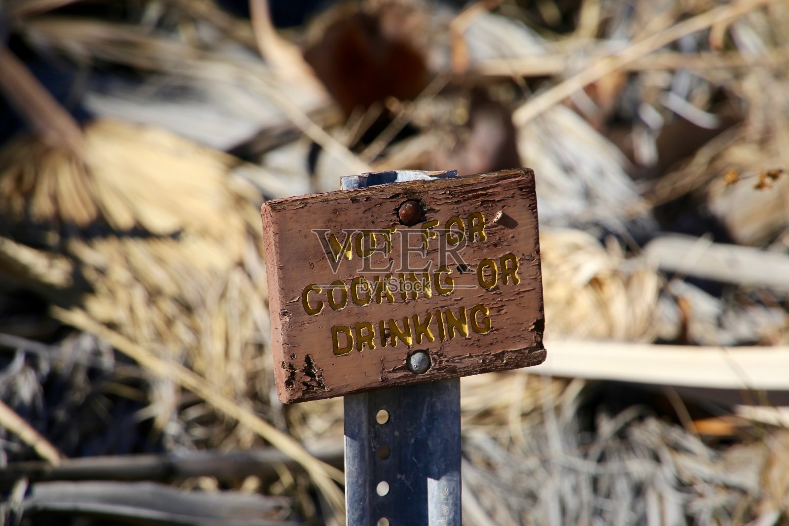 加州沙漠照片摄影图片