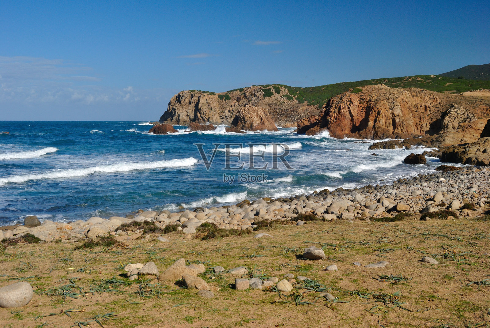 羊的头照片摄影图片