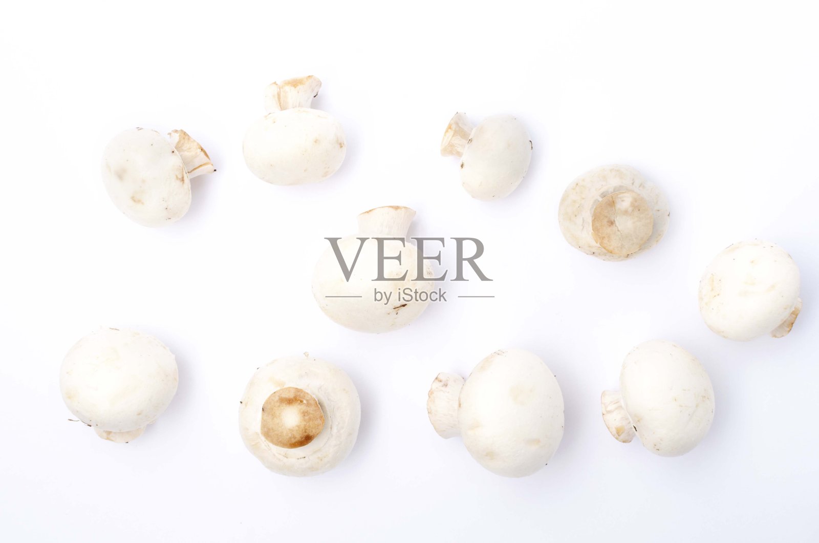 在白色背景上的许多食用蘑菇俯视图。香菇作为一种食材照片摄影图片