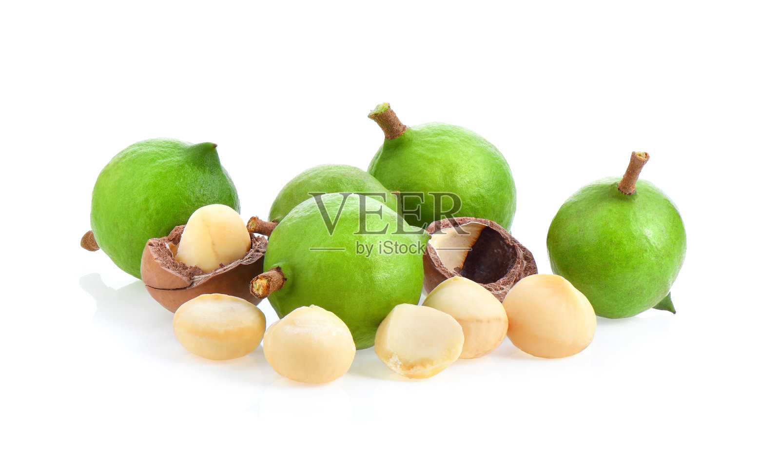 叶子孤立在白色背景上的澳洲坚果。照片摄影图片