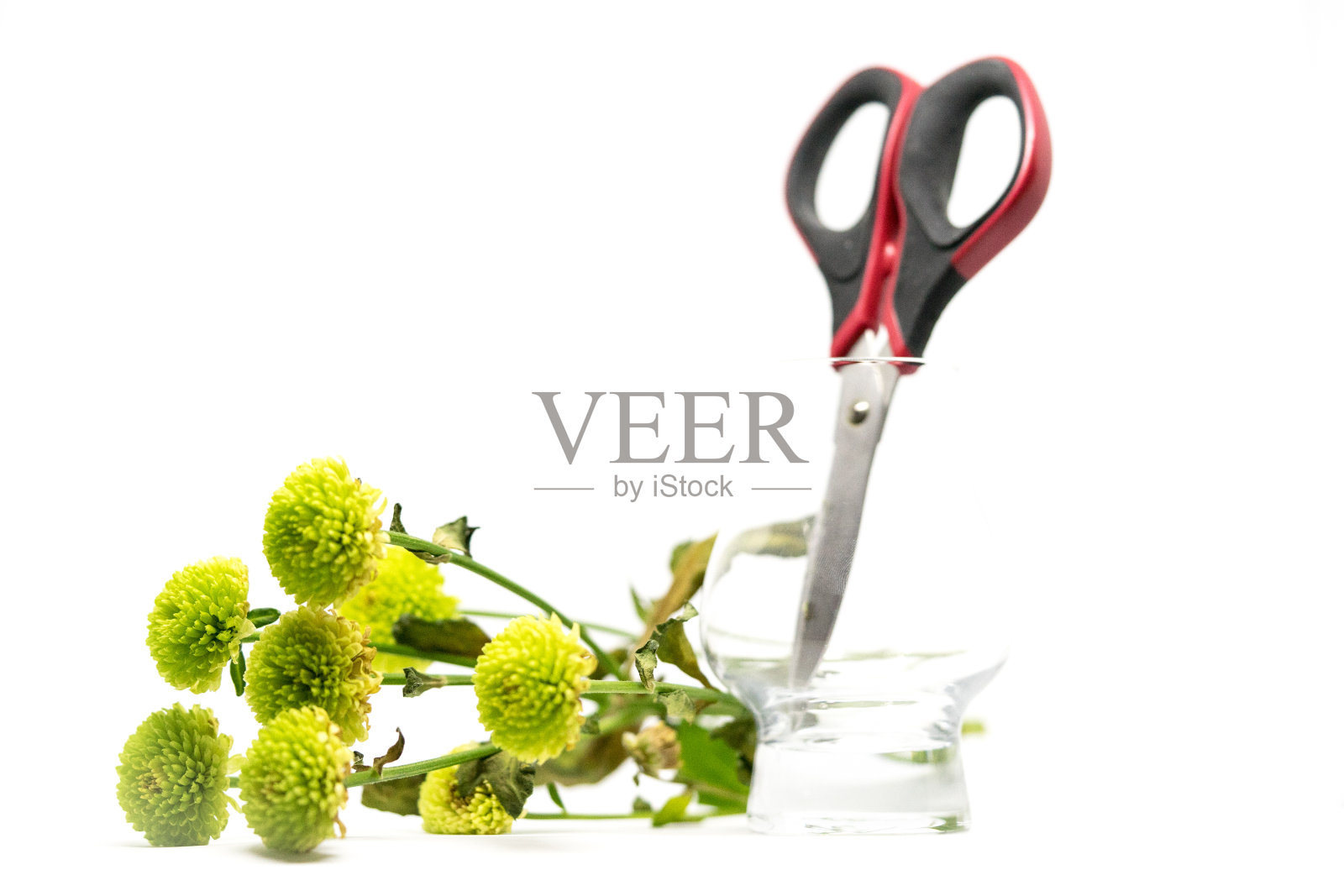 有剪刀、玻璃和绿色花朵的静物画照片摄影图片