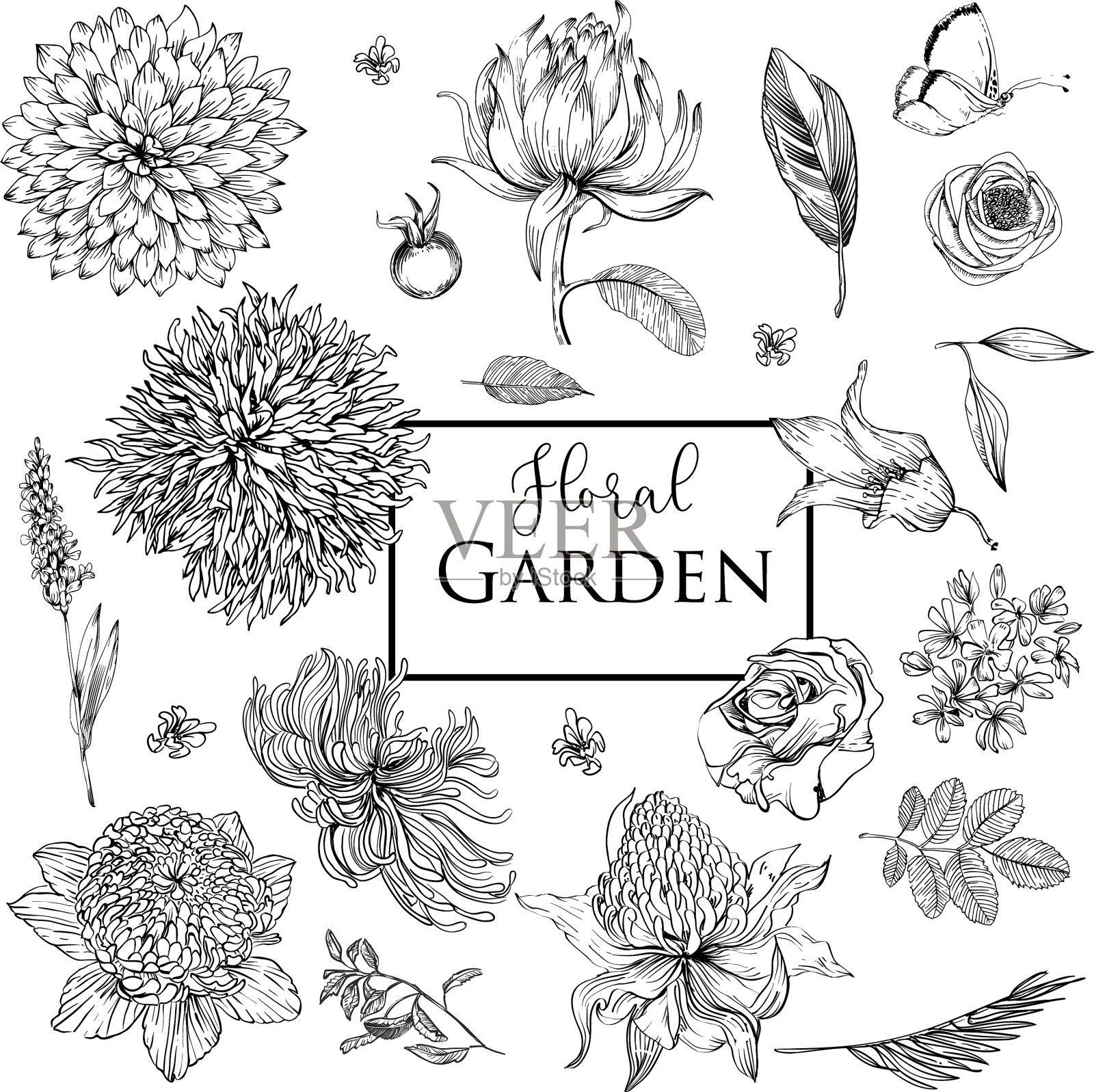 花花园集合设计元素图片