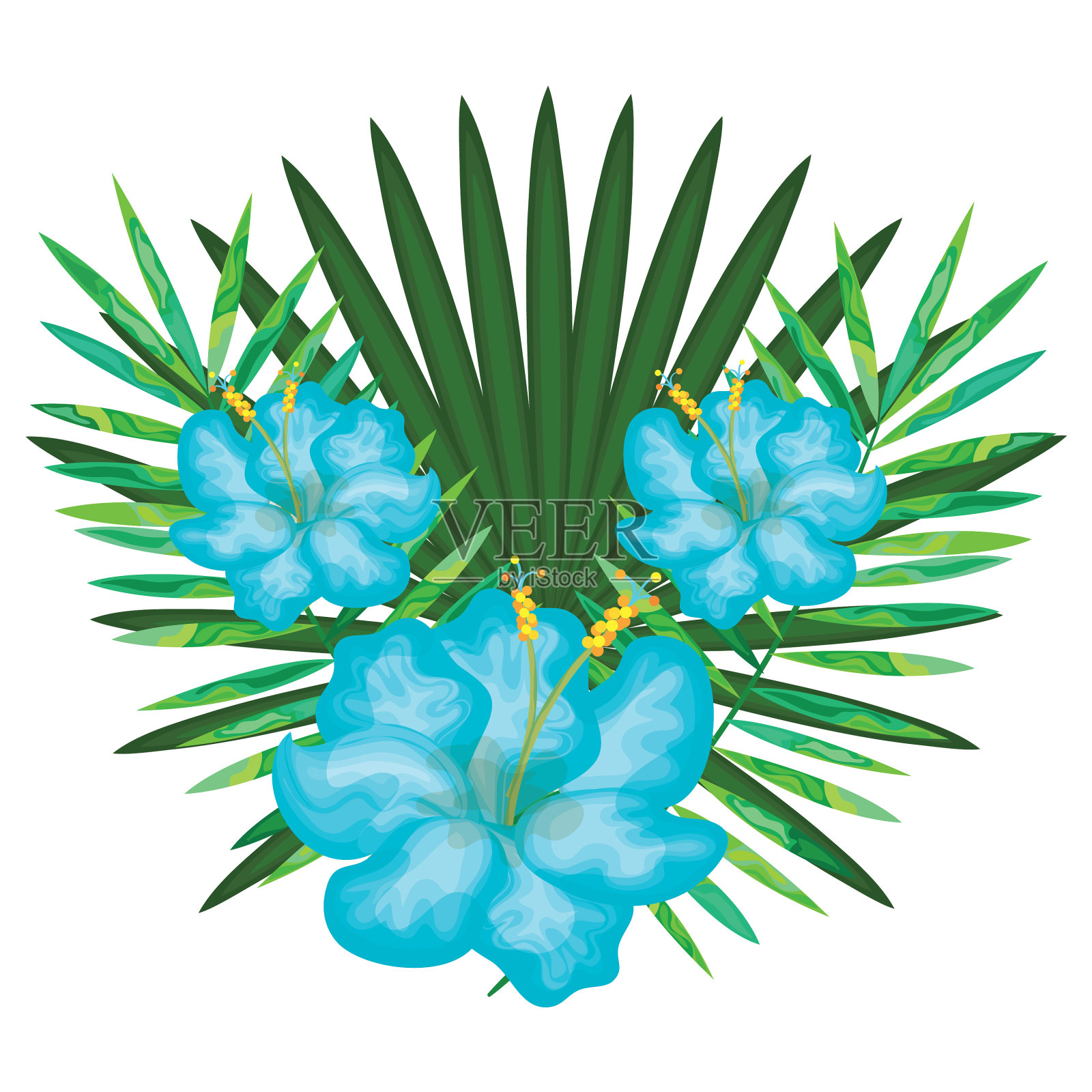 热带花卉装饰卡设计元素图片