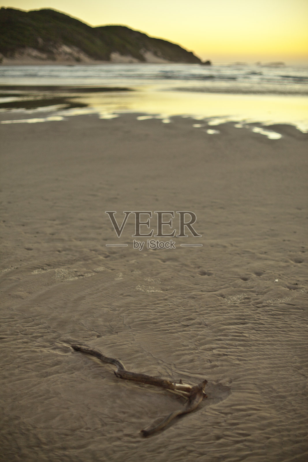 桑迪把照片摄影图片