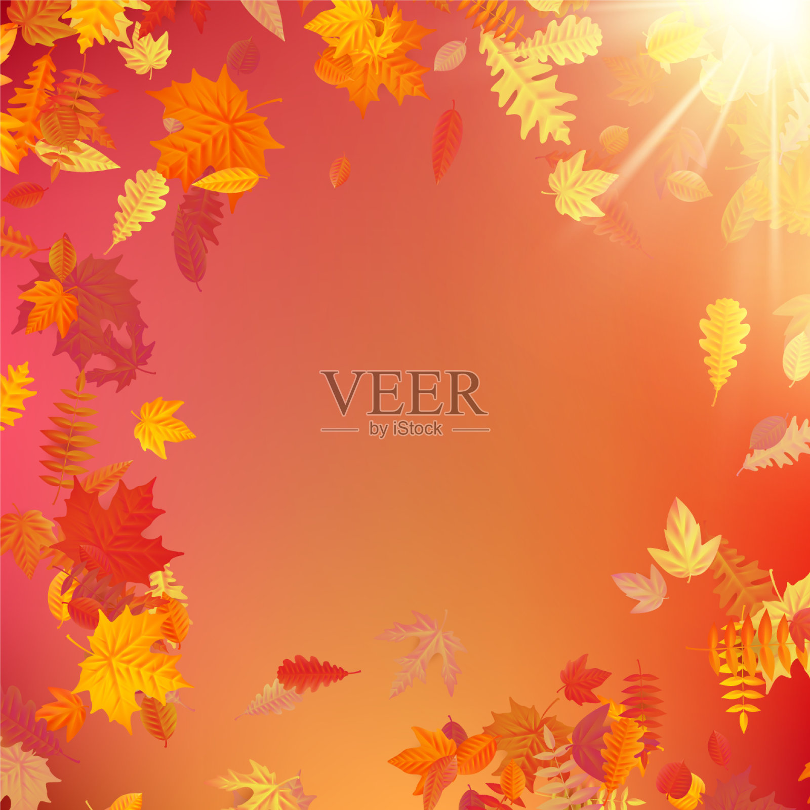 秋季模板布局用树叶装饰eps设计模板素材