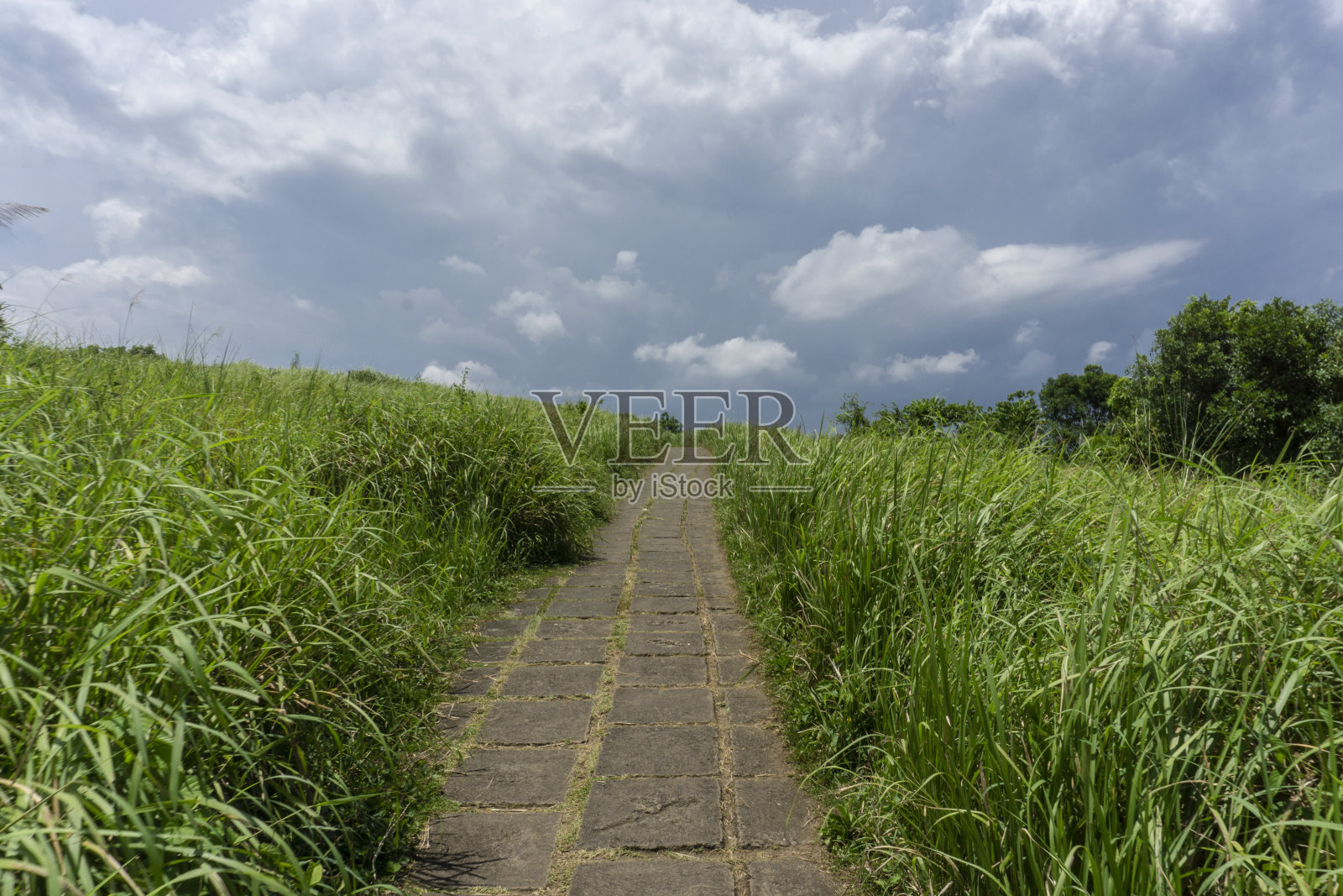 巴厘岛,乌布城市和自然照片摄影图片