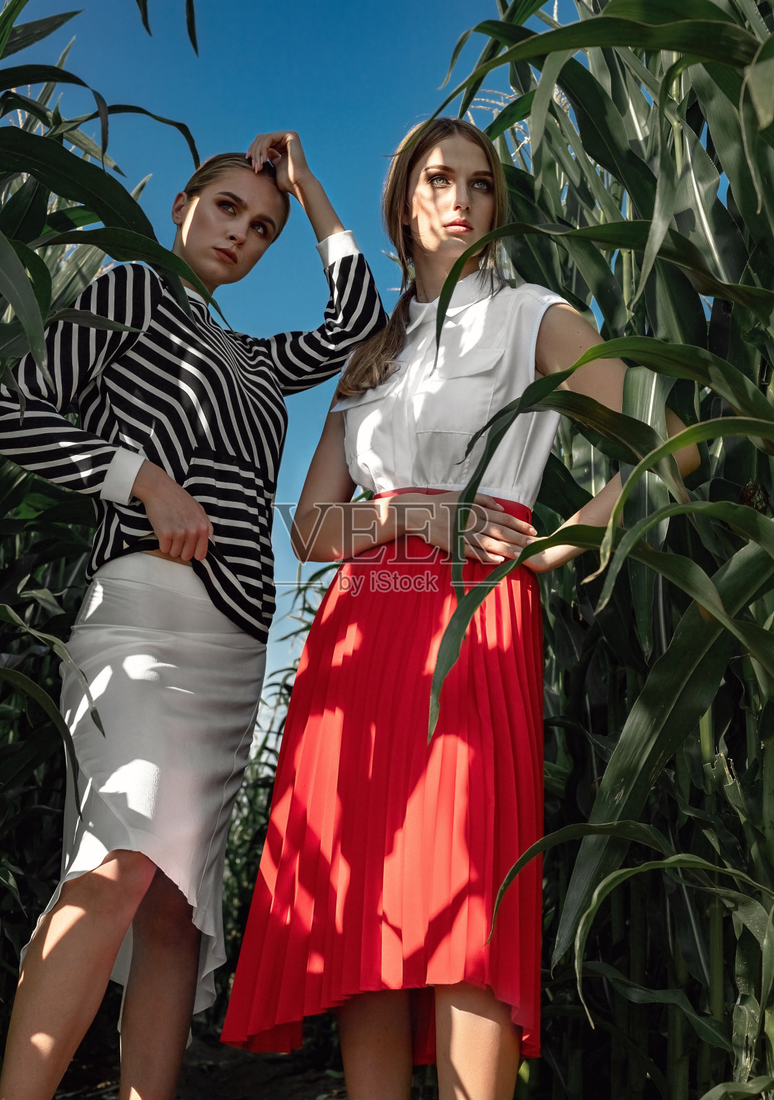 两个金发女孩的肖像,穿着时髦的衣服,在玉米地里的树叶中间。照片摄影图片