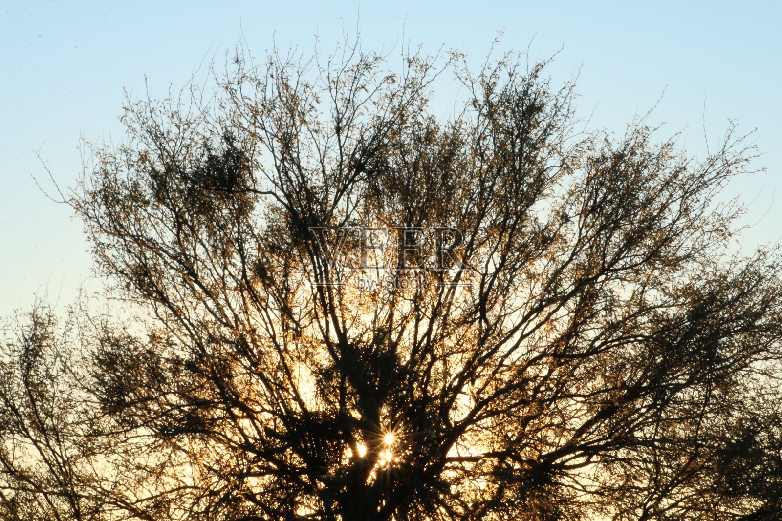 亚利桑那州的沙漠氛围照片摄影图片