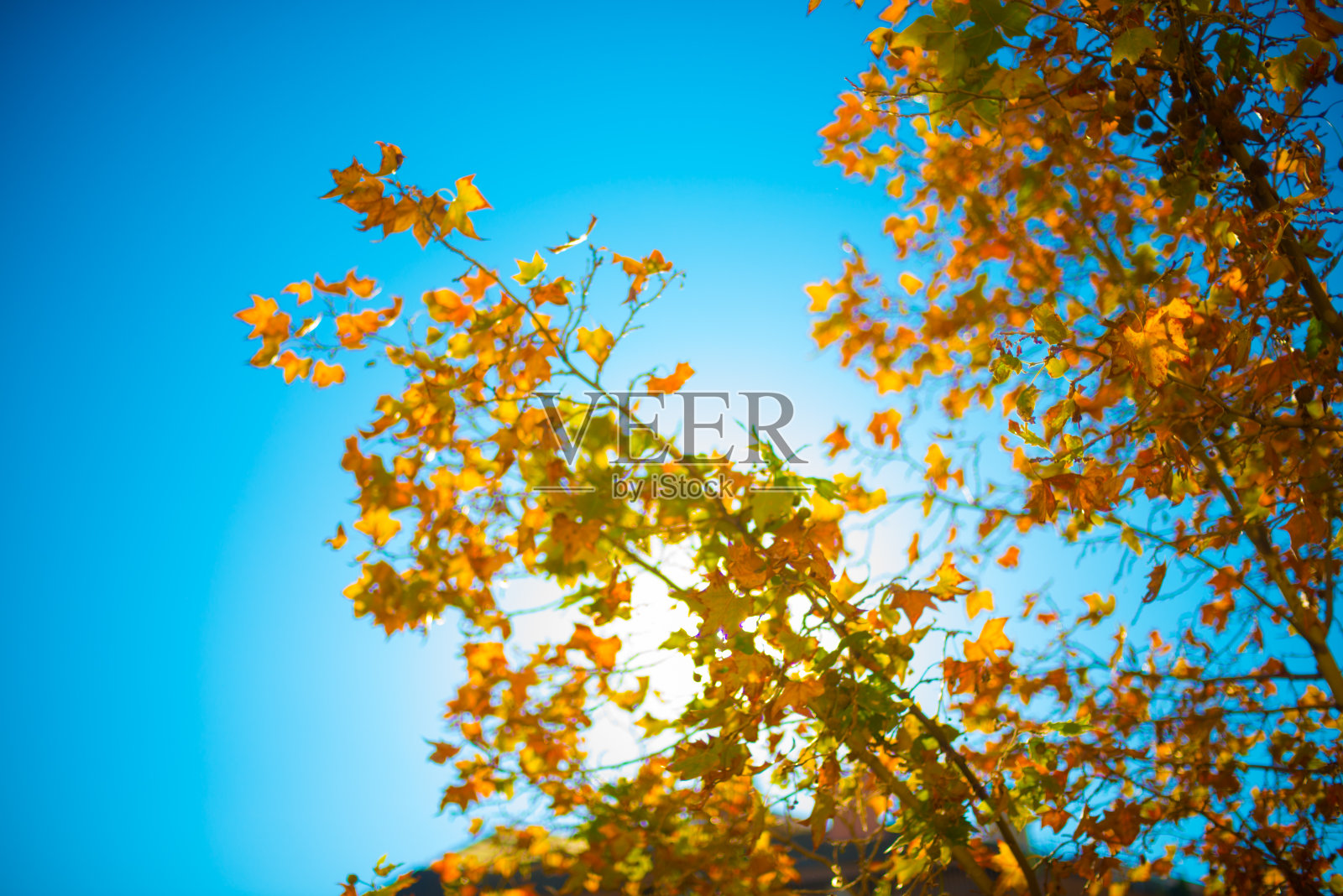 旅游胜地西班牙巴塞罗那照片摄影图片
