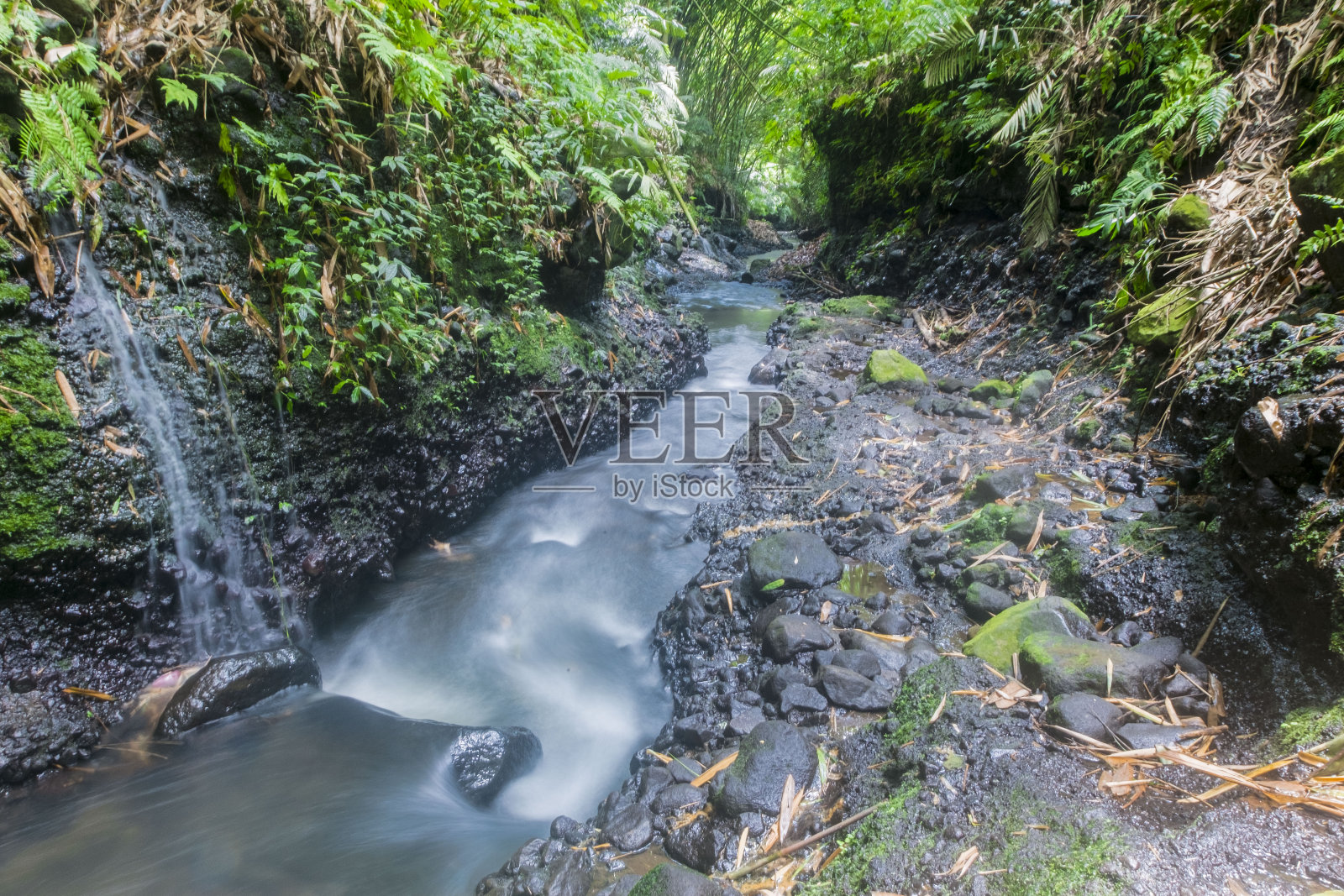 河水中有黑色的石头照片摄影图片