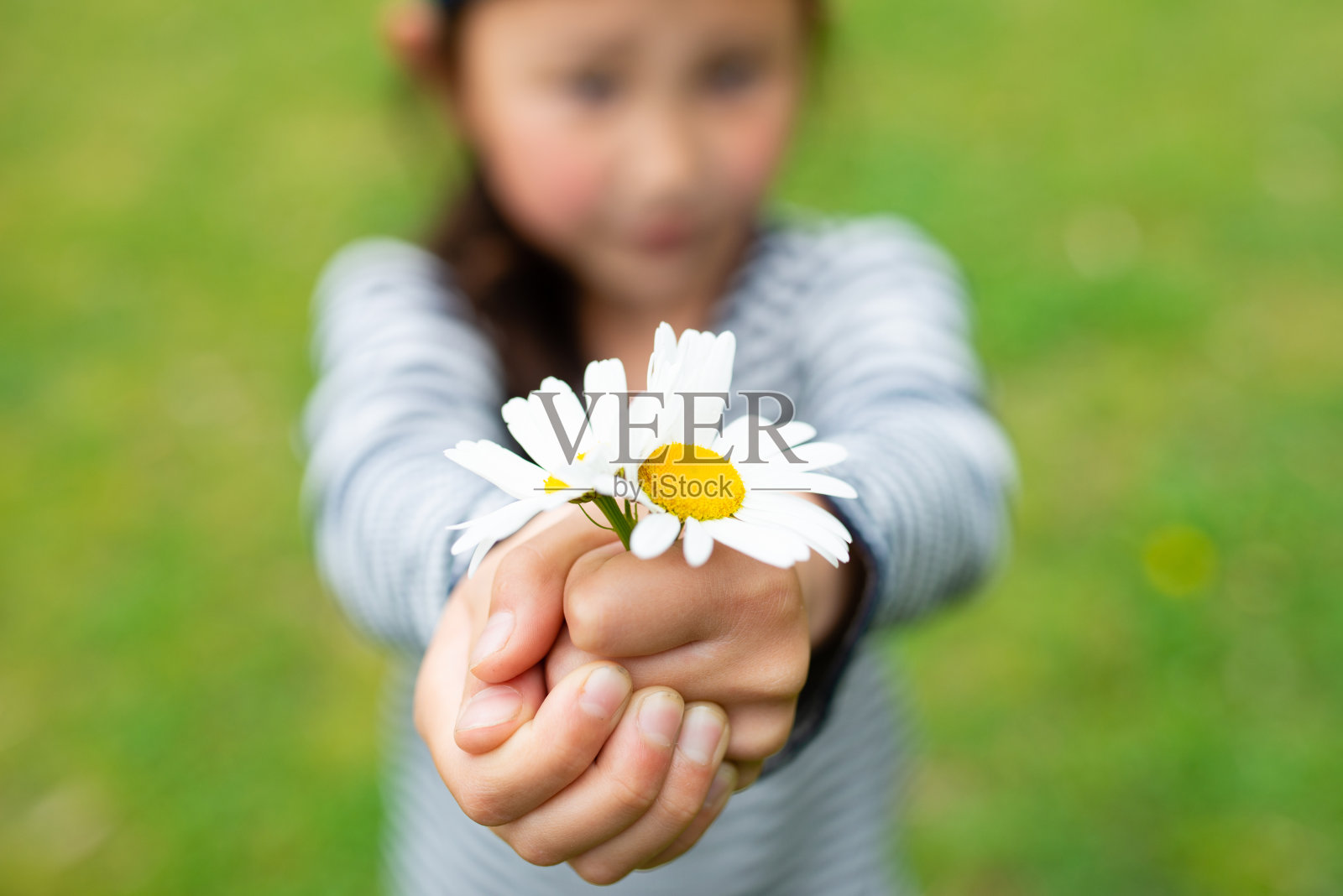 儿童手捧鲜花照片摄影图片