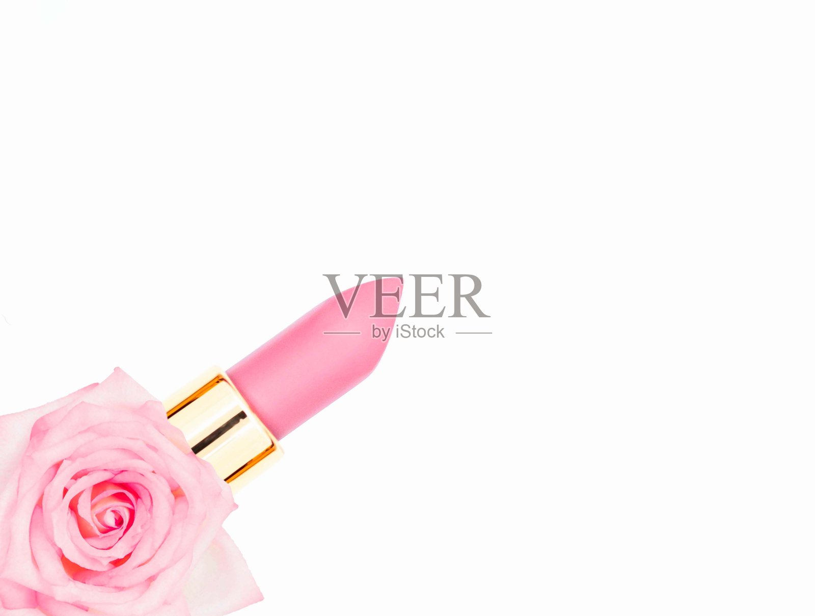 粉色粉彩口红和玫瑰与复制空间的白色背景,选择性焦点,美丽的化妆概念。照片摄影图片