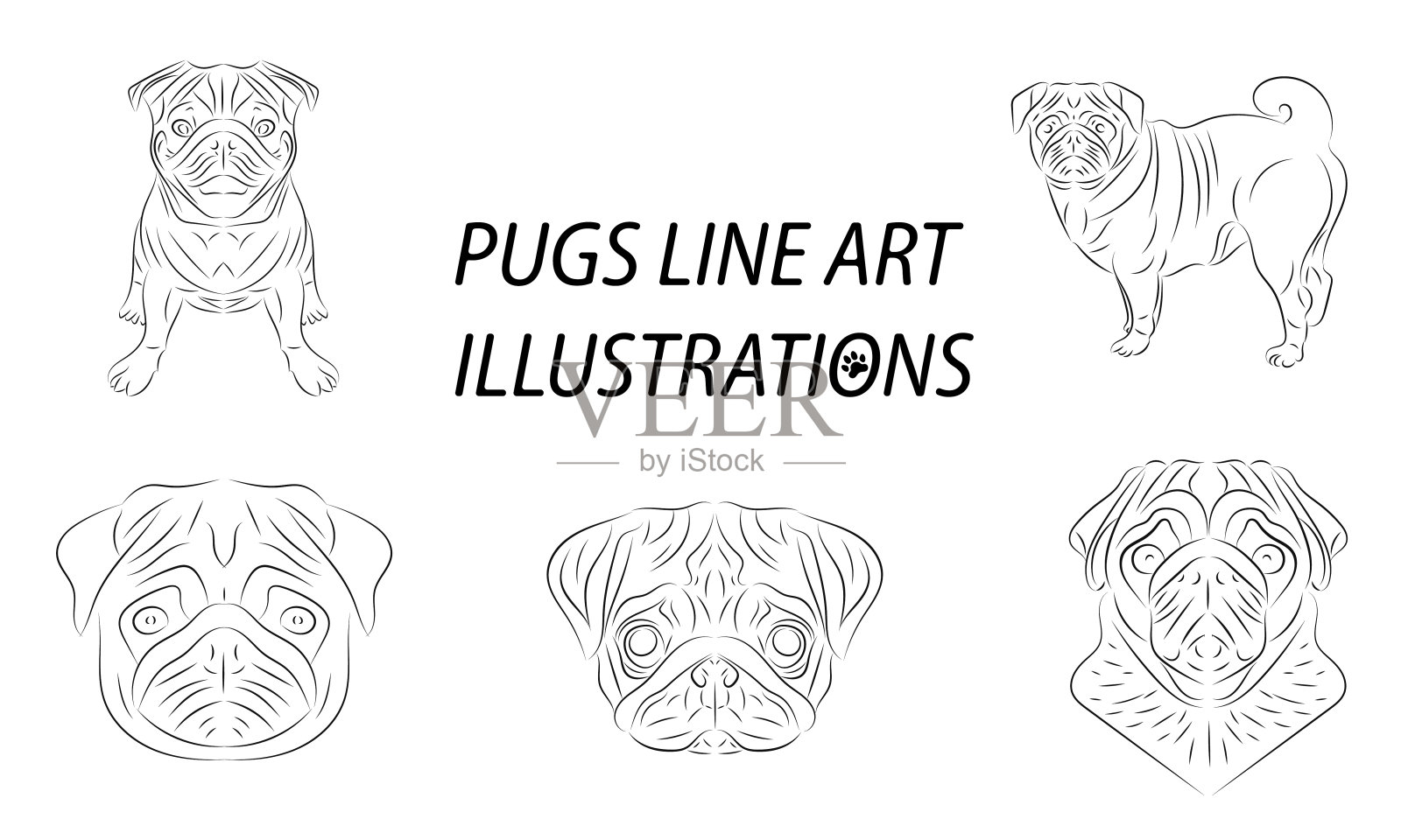 可爱的哈巴狗矢量插图插画图片素材