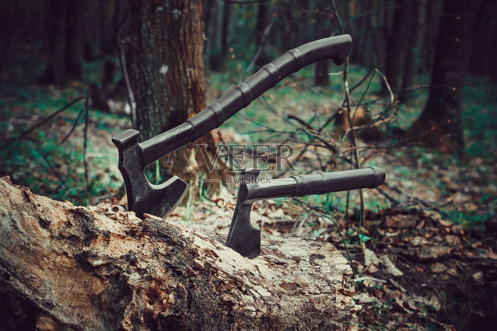 两柄斧头和一棵老树照片摄影图片