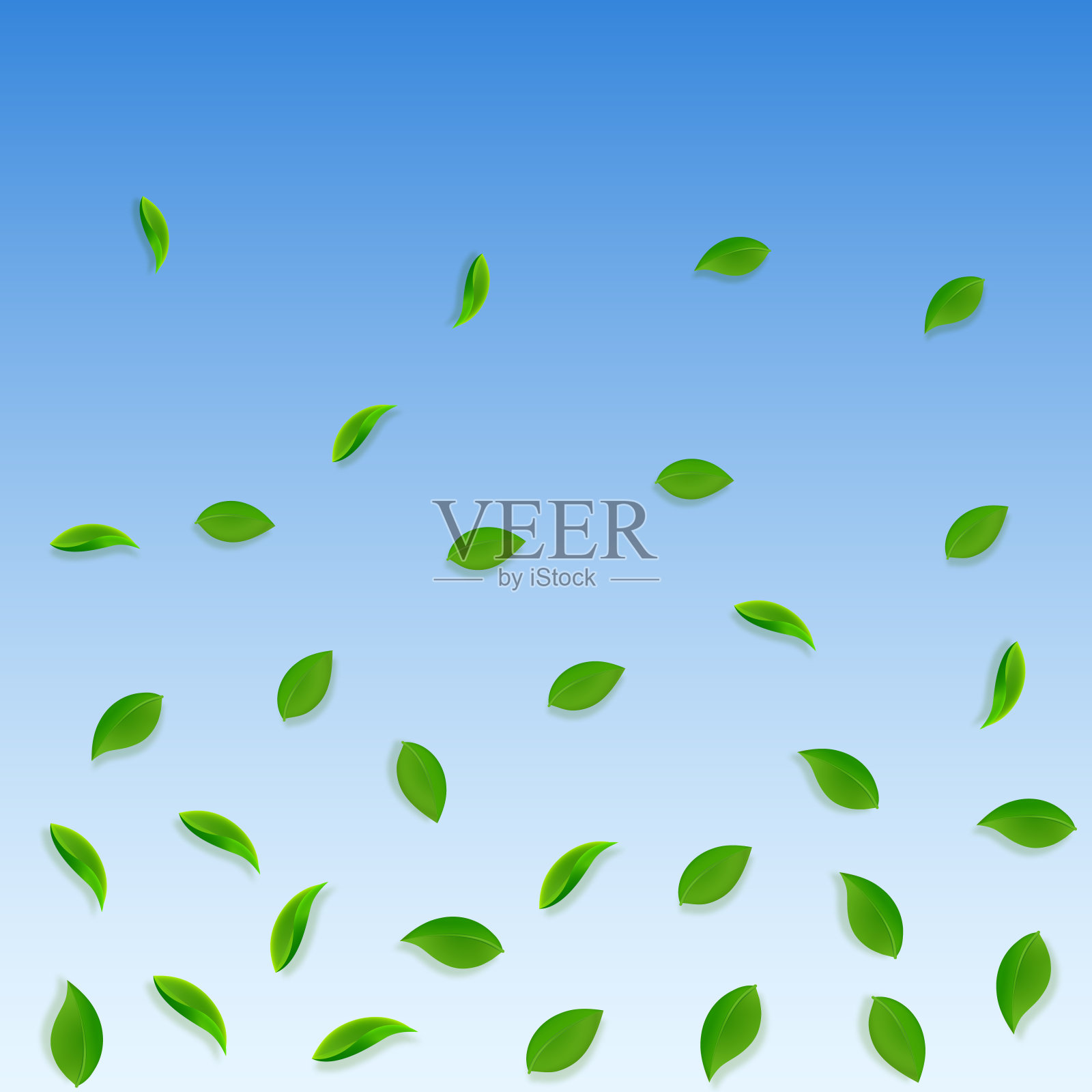 下降的绿叶。茶鲜,叶乱飞插画图片素材