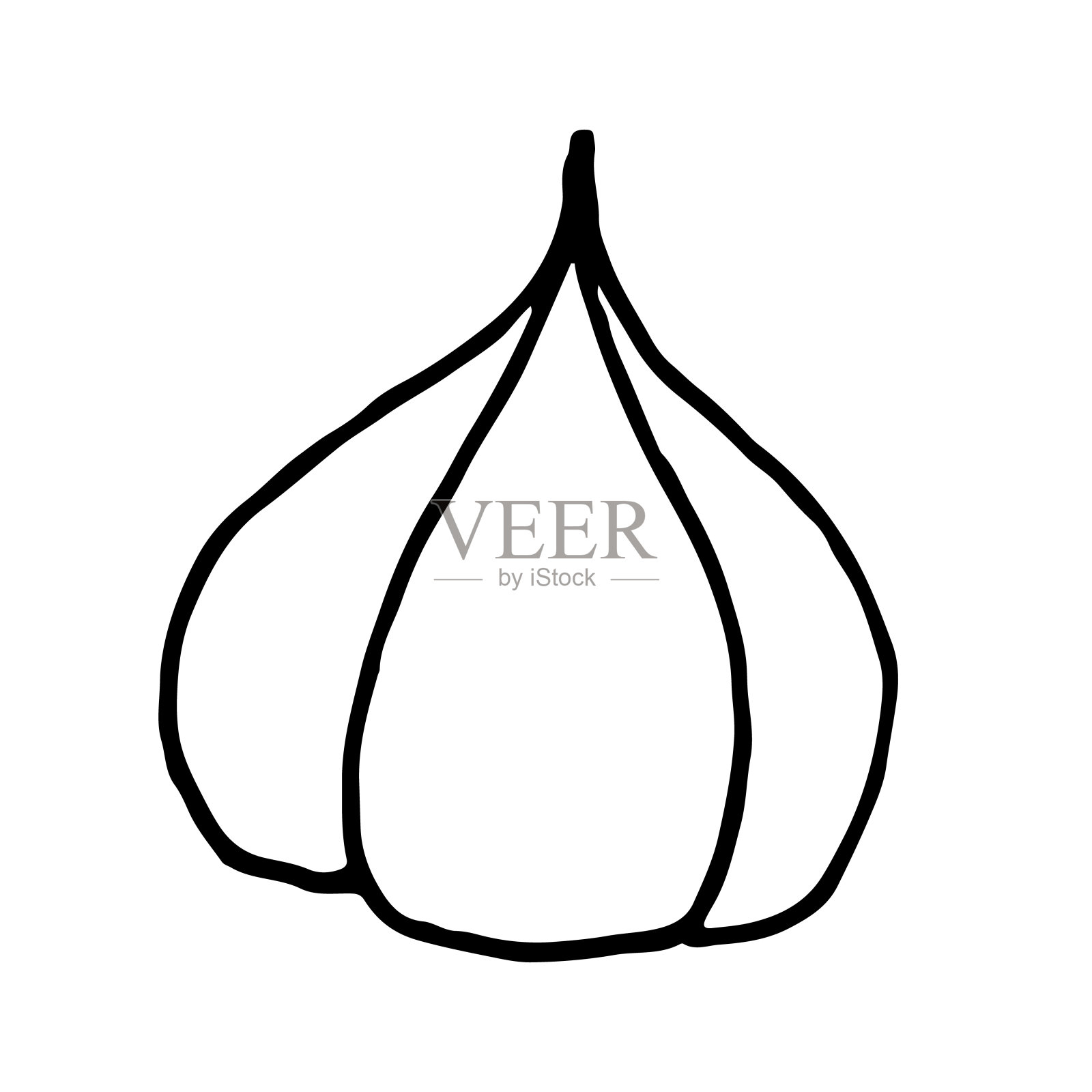 大蒜矢量素描图标孤立的背景插画图片素材