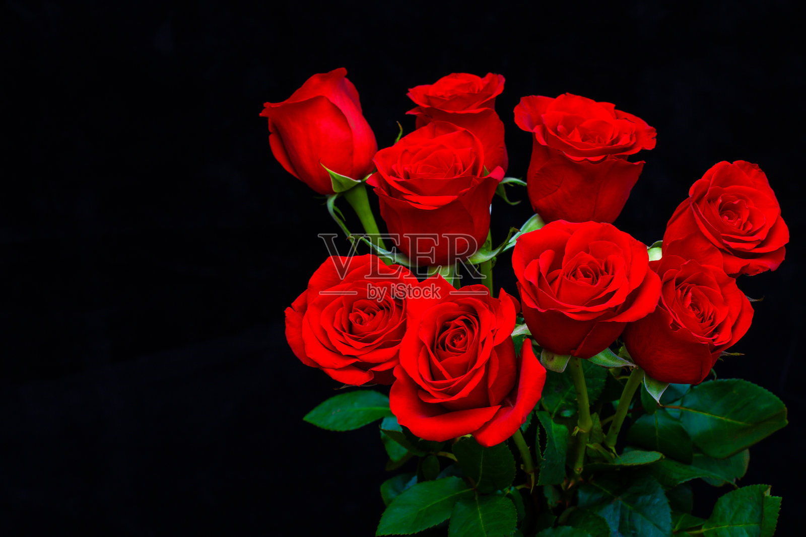 一束美丽的红玫瑰在黑色的背景照片摄影图片