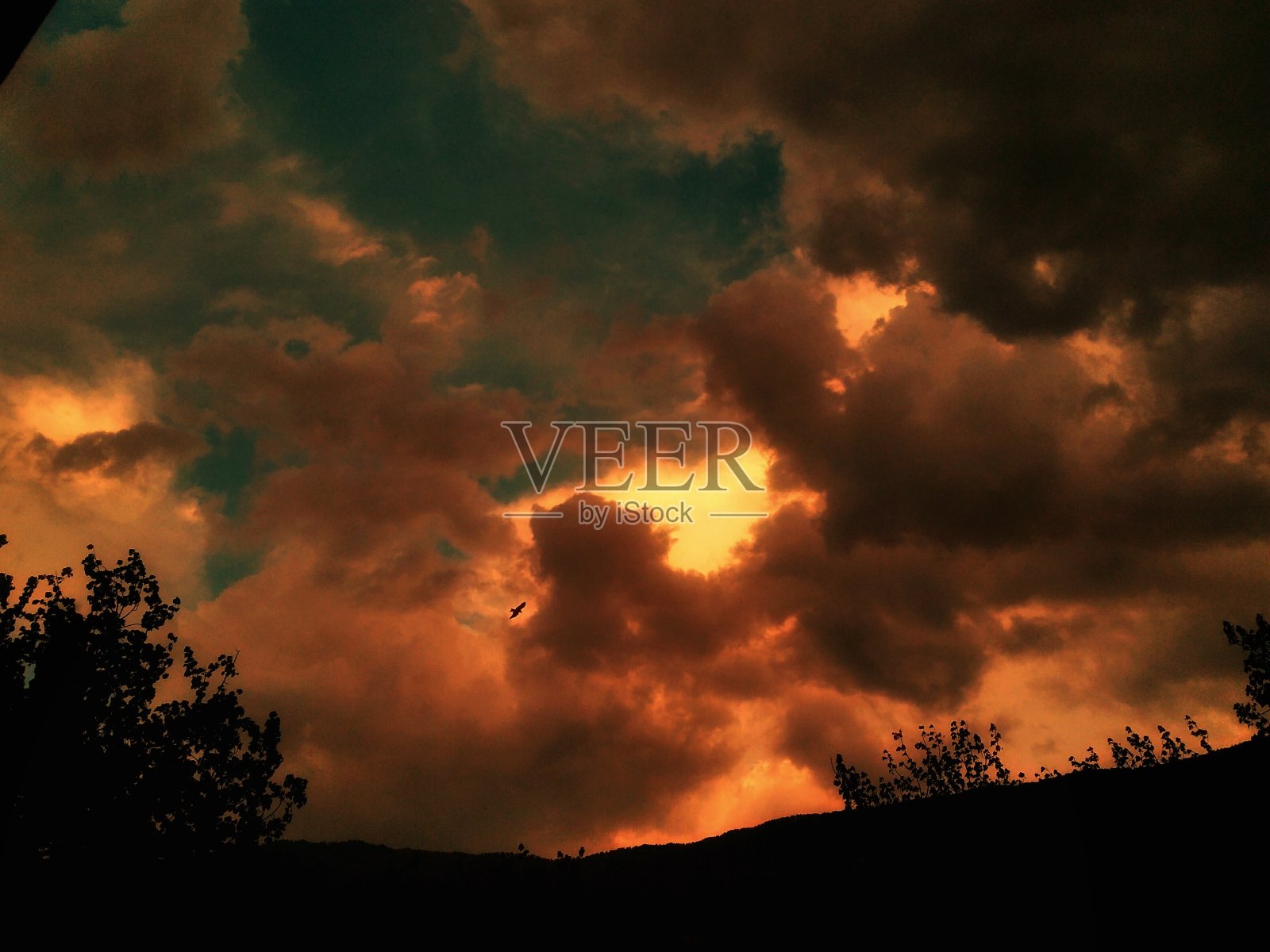 金色的天空照片摄影图片