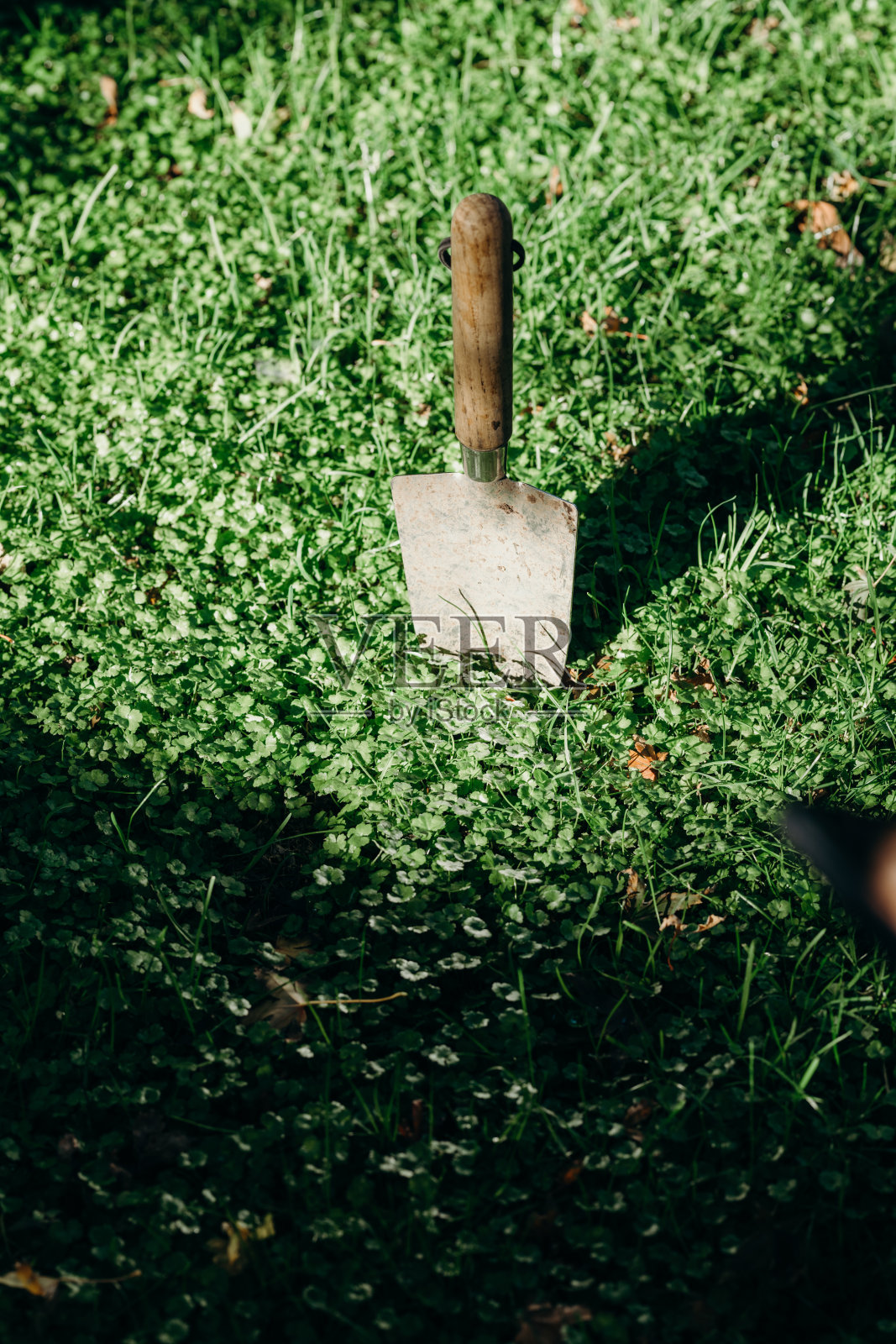 花园在阳光灿烂的日子里铲着地面。照片摄影图片