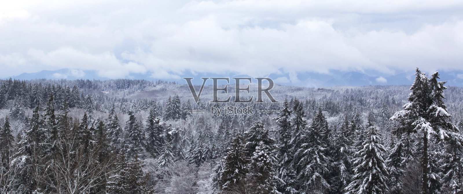 雪地里的西北方向照片摄影图片