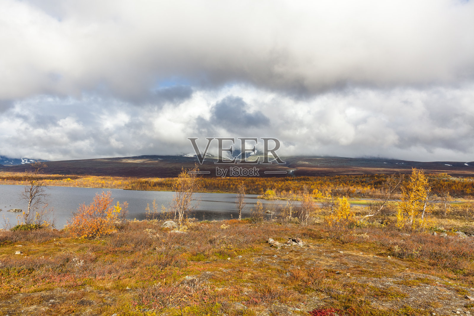 沙瑞克国家公园北极山区的一条河流。照片摄影图片