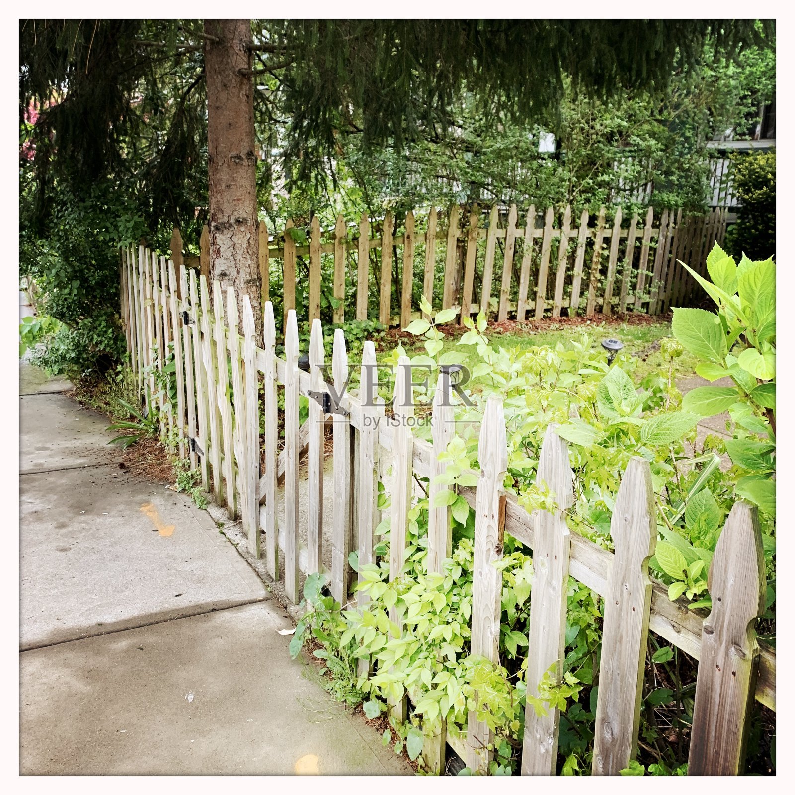 可爱的木栅栏照片摄影图片