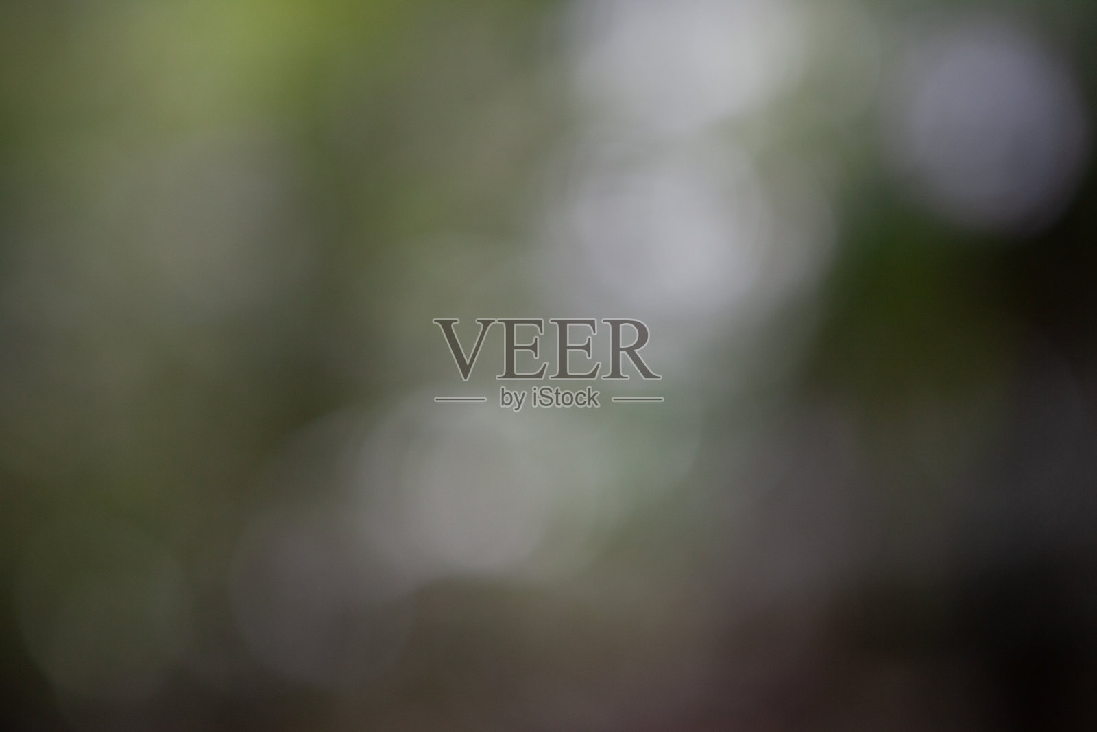 模糊的森林照片摄影图片