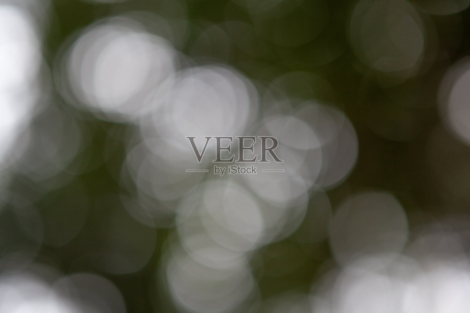 模糊的森林照片摄影图片