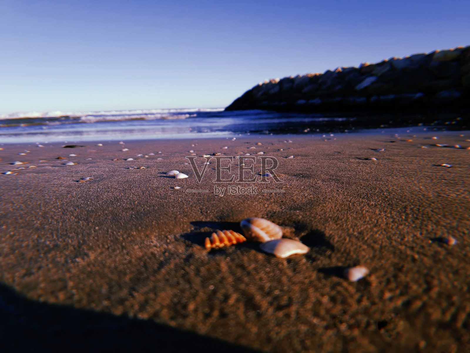 从暴风雨后醒来照片摄影图片