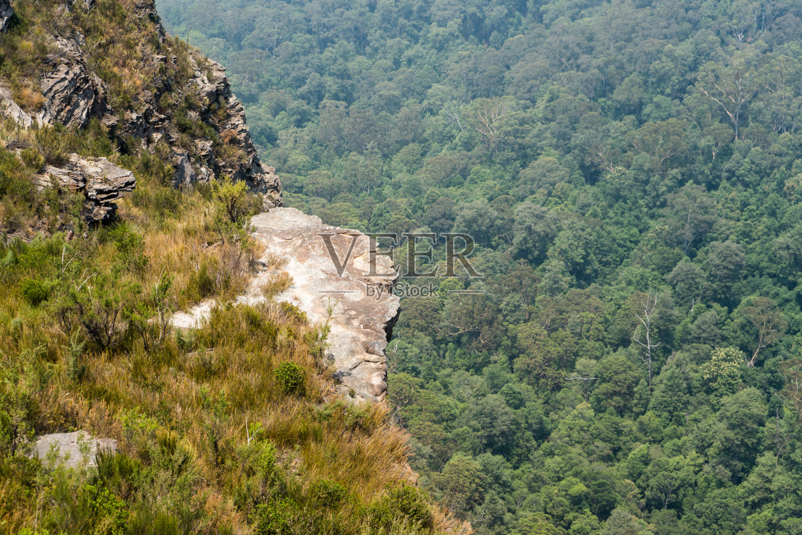 俯瞰森林的岩石,蓝山,澳大利亚照片摄影图片