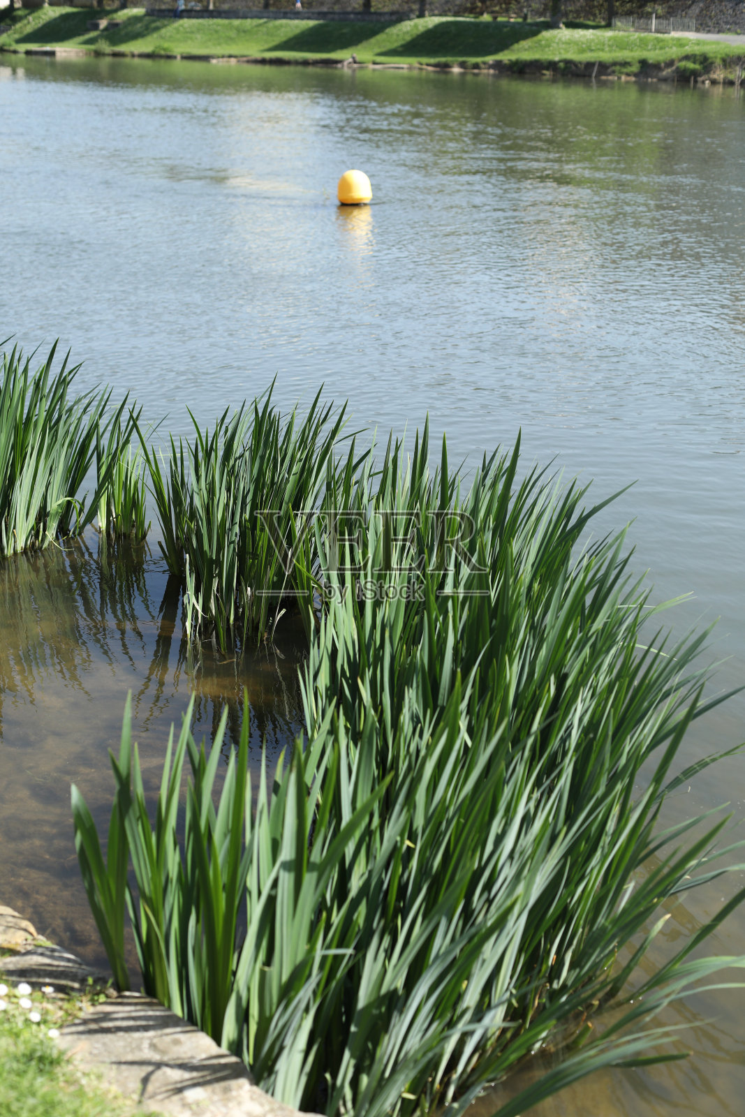流在公园照片摄影图片