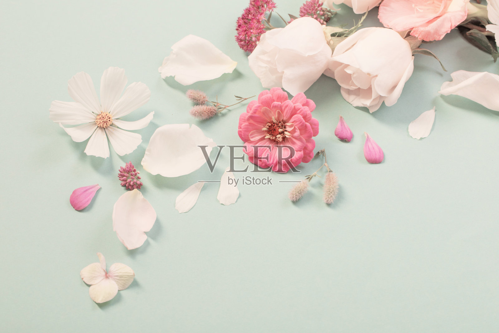 夏天的花在绿色的纸背景照片摄影图片