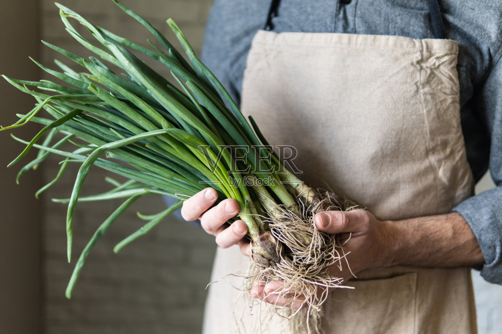 穿着乡村围裙,拿着一束葱的年轻人。健康、素食和有机农场食品的理念照片摄影图片