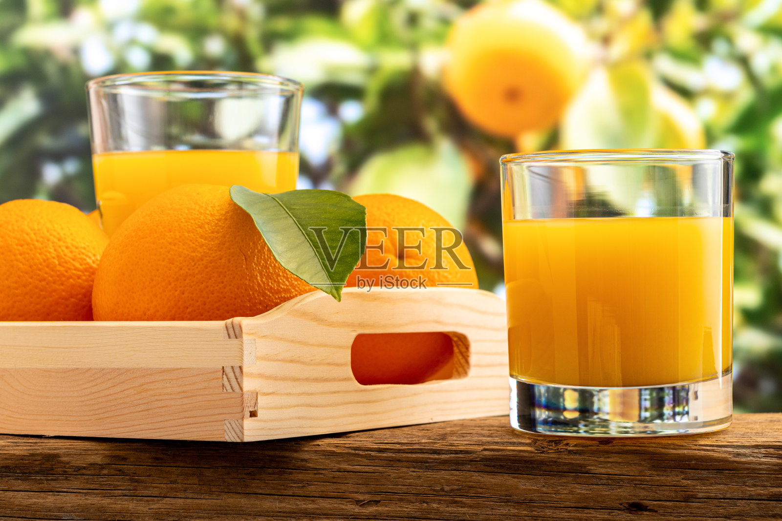 两杯橙汁,以自然为背景。水果的概念。照片摄影图片