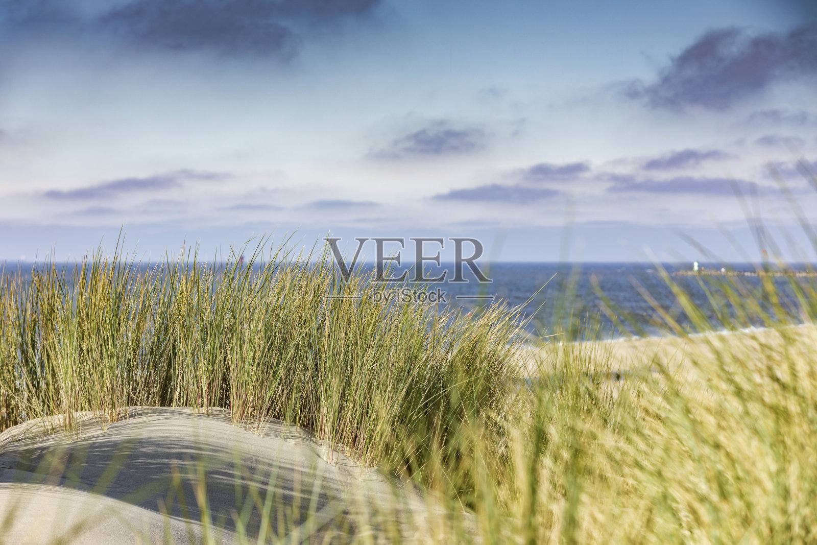 海牙附近荷兰海岸的沙丘照片摄影图片