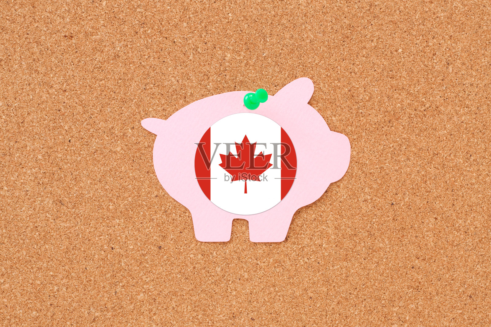 带有加拿大国旗的pushpinpig储蓄罐照片摄影图片