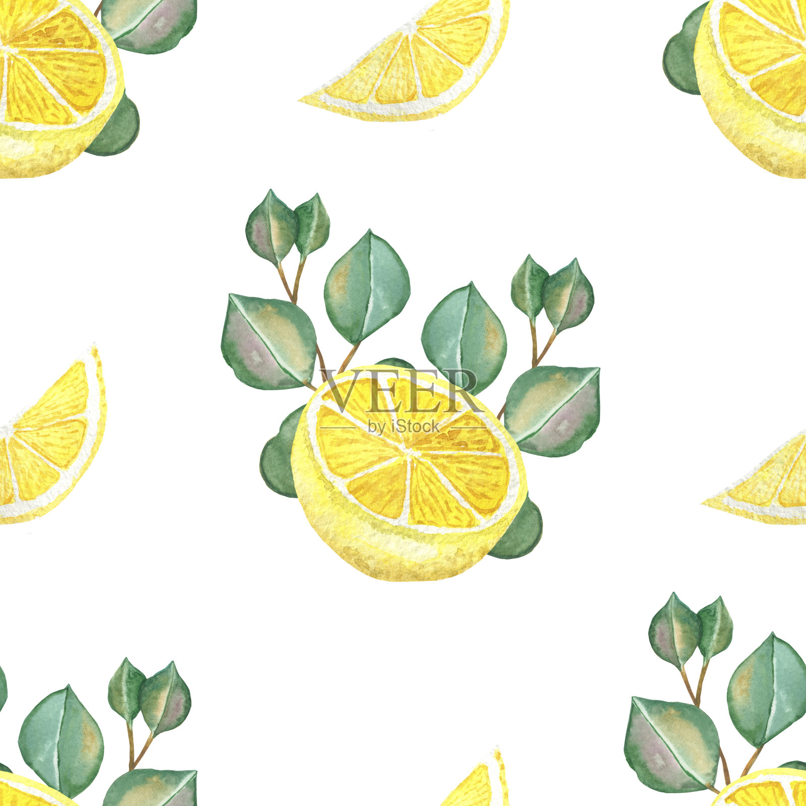 水彩手绘自然草本绿色植物无缝模式与黄色的柑橘柠檬水果片和绿色的桉树叶子在树枝上花束孤立在白色的背景插画图片素材