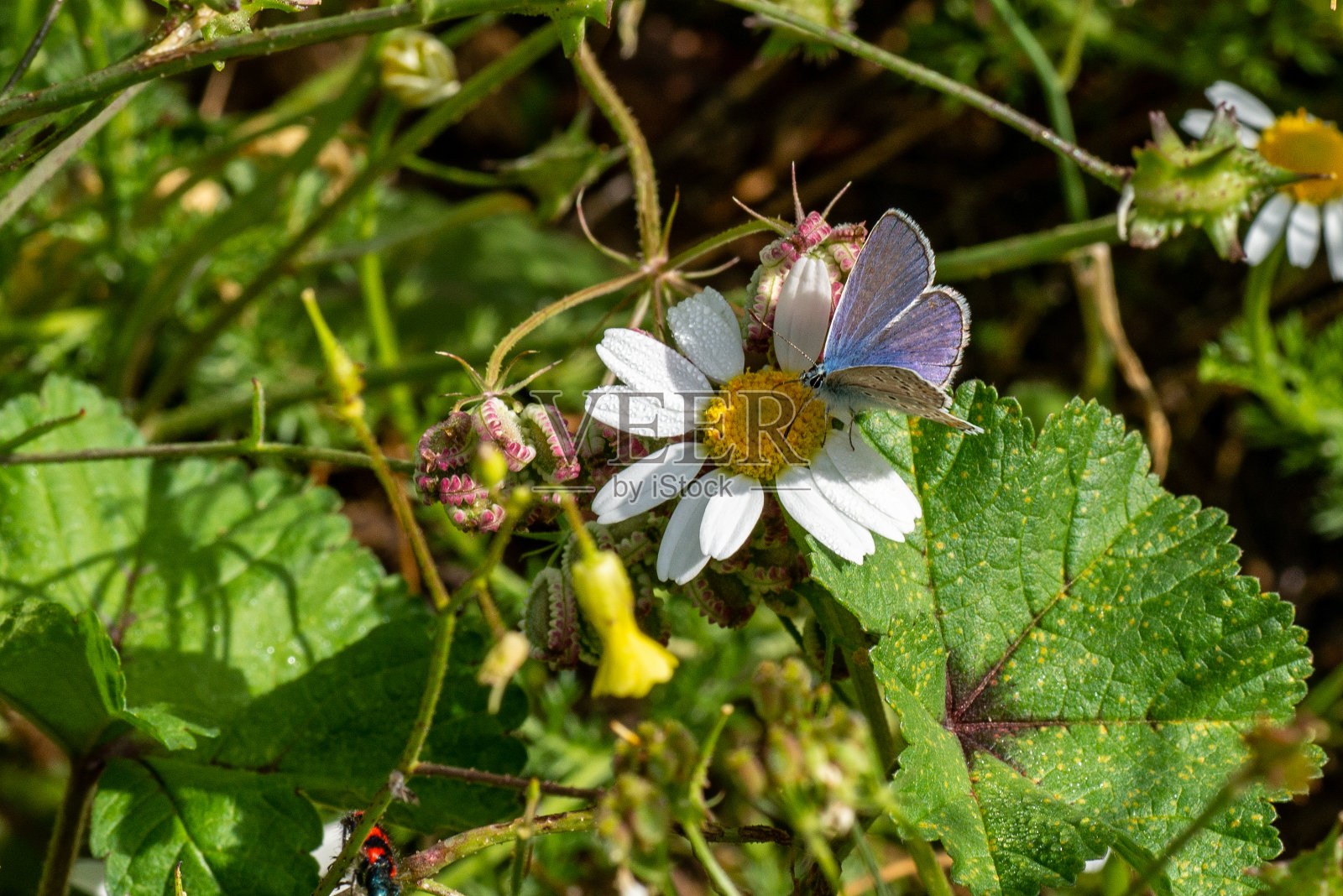 false你照片摄影图片
