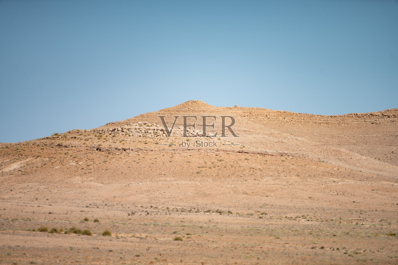 杰尼尼和达哈尔照片摄影图片