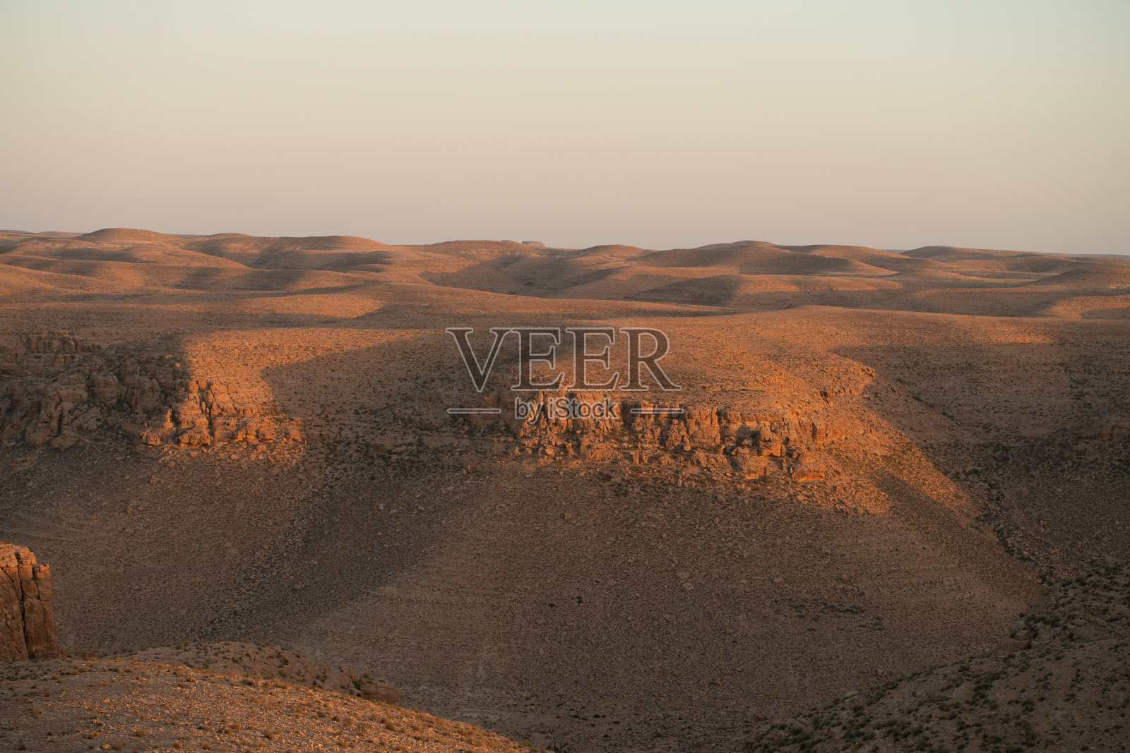杰尼尼和达哈尔照片摄影图片