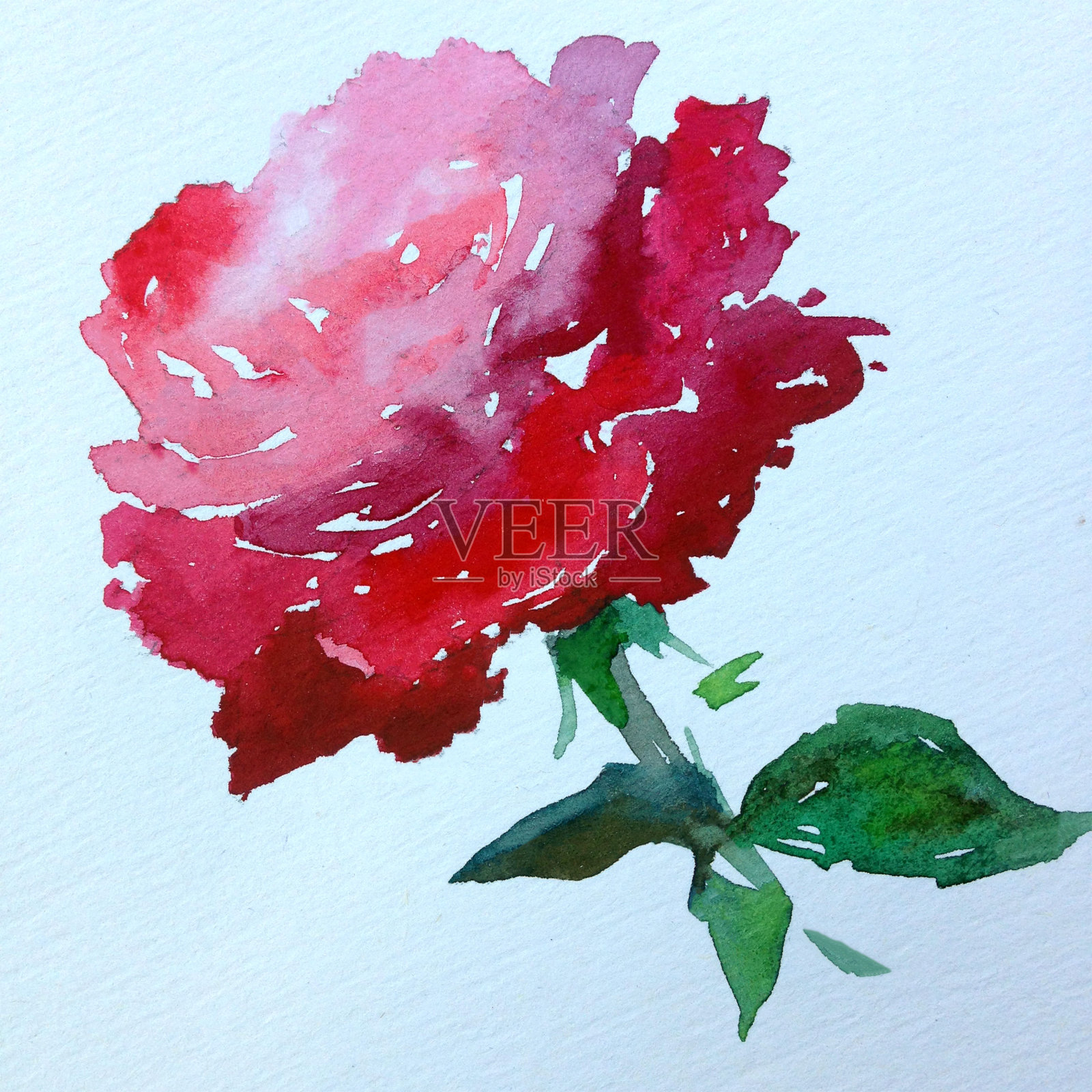 手工花卉图案。美丽温柔浪漫的红夏单玫瑰花插画图片素材