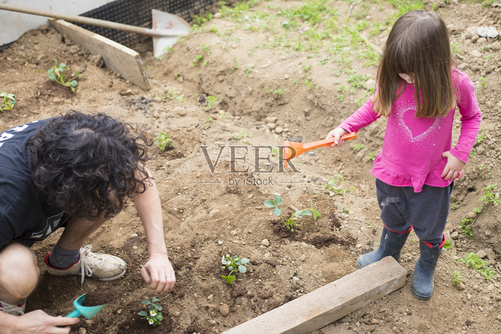 年轻的爸爸和女儿在封锁期间做园艺。照片摄影图片