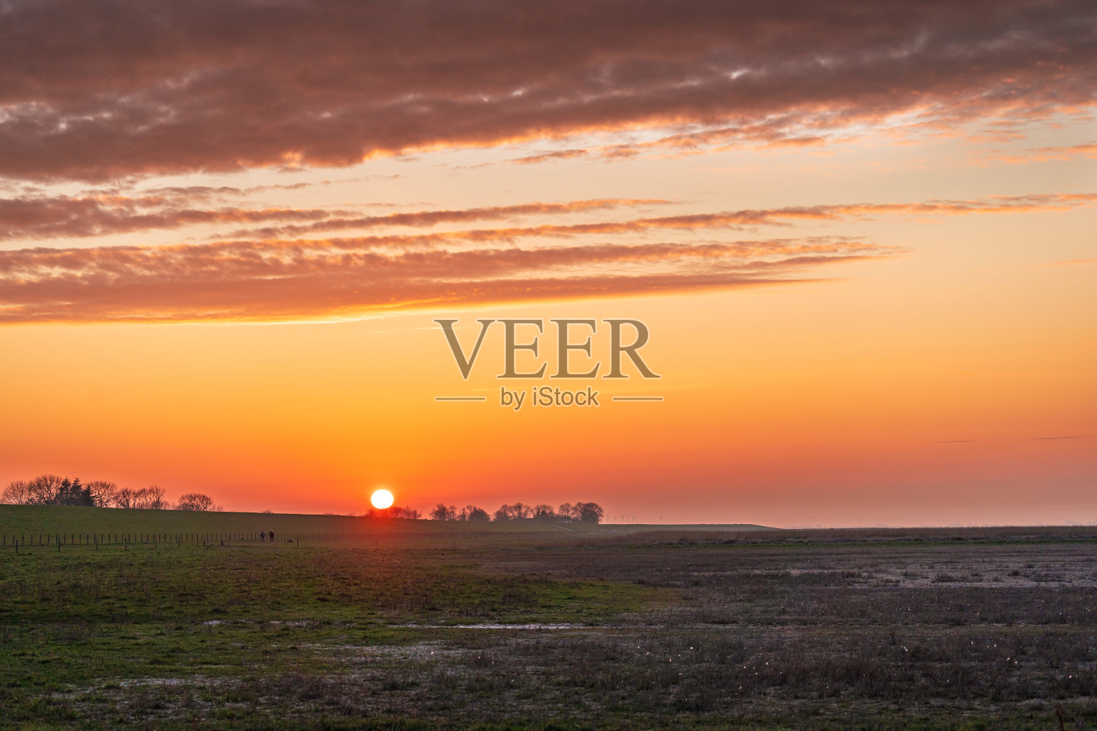 北海海岸的日落。照片摄影图片