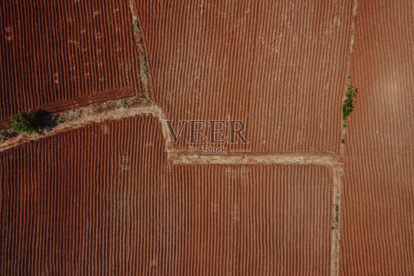 鸟瞰图;种植前要有成行的土壤照片摄影图片