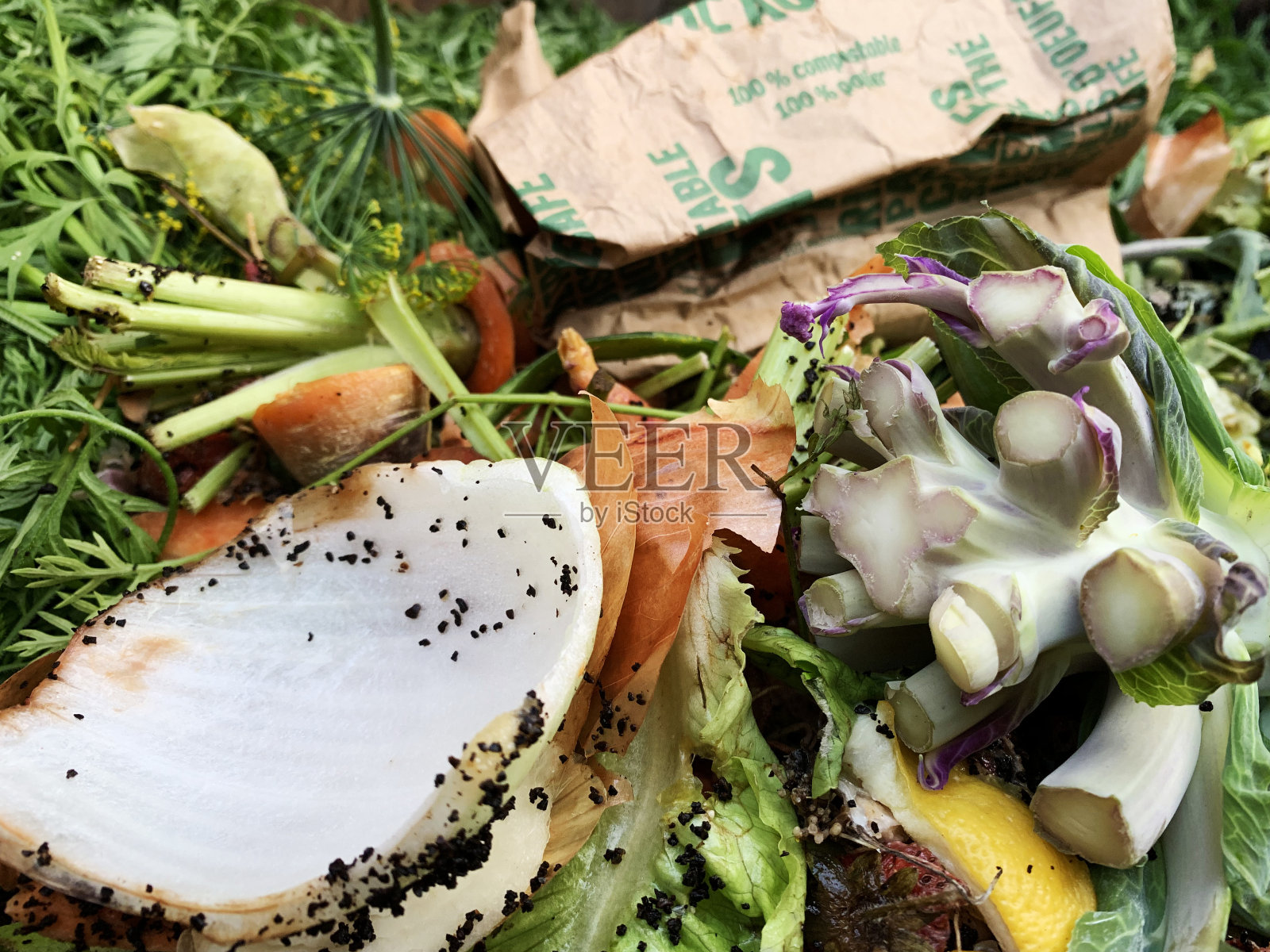 蔬菜、水果和咖啡在后院的食物垃圾堆肥照片摄影图片