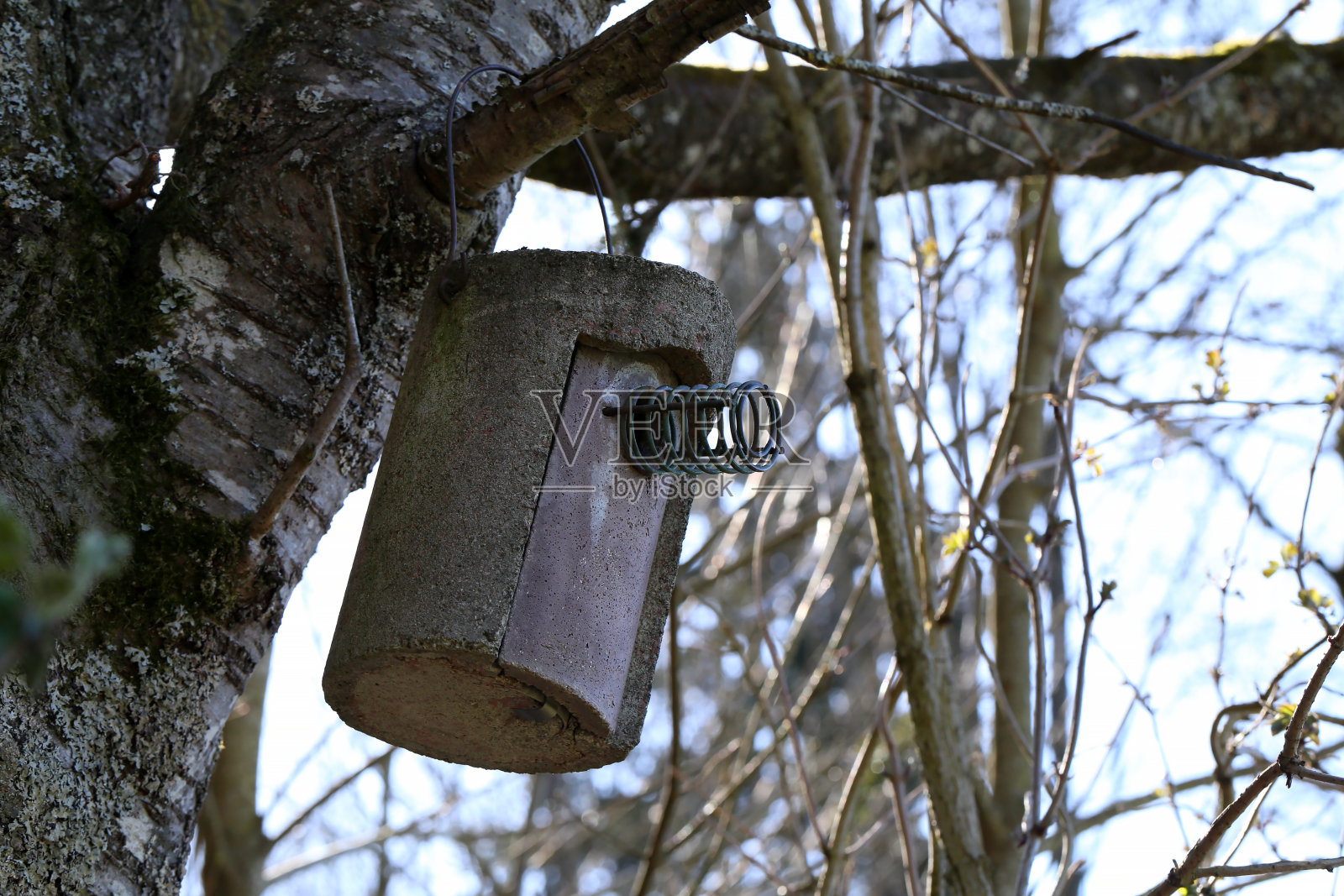 混凝土做的鸟笼挂在森林里的一棵树上照片摄影图片