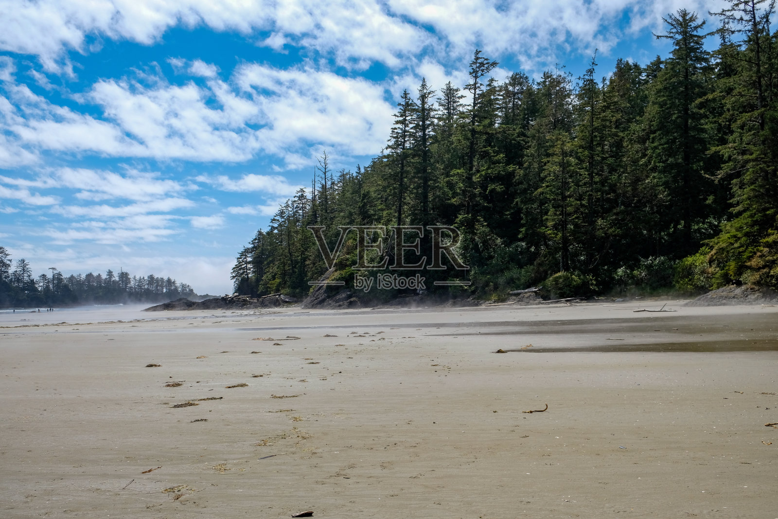 帆船海滩照片摄影图片