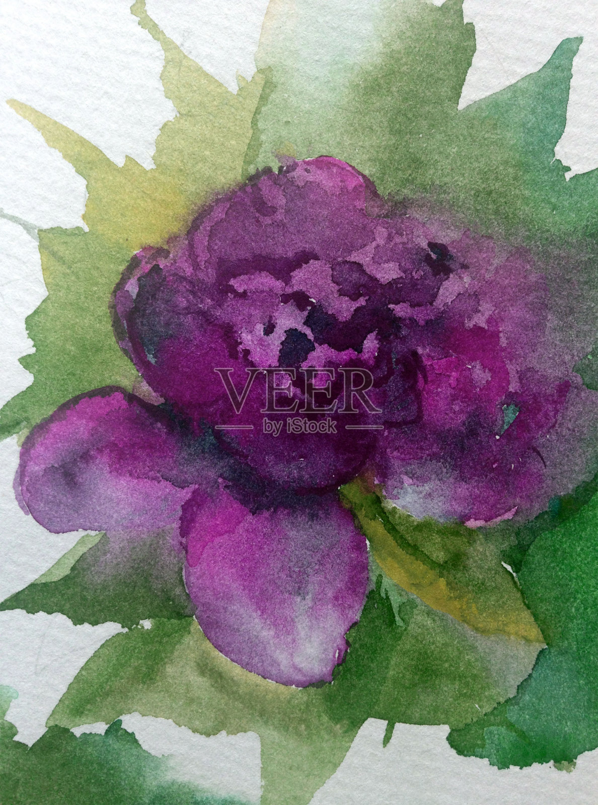 手工花卉图案。美丽温柔浪漫的春天单玫瑰花插画图片素材