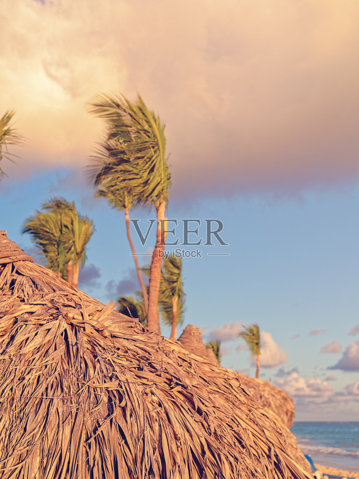 在热带海滩上可以看到柳条屋顶的沙滩伞。照片摄影图片